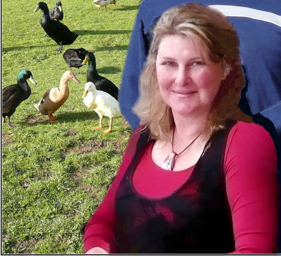 Leanne Proprietor Peace of Mind Boarding Kennels Lower Longley