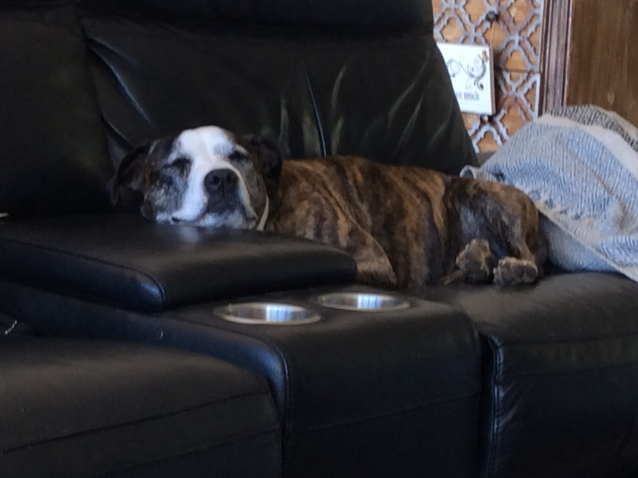 PEACE OF MIND Boarding Kennels